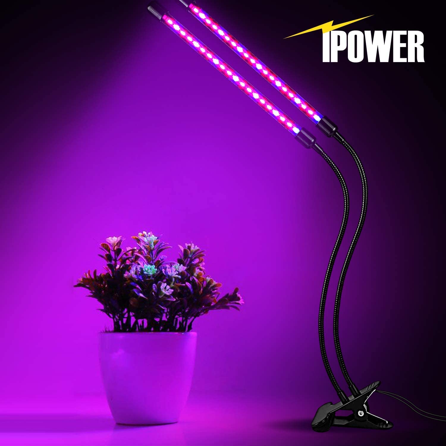 Ipower 10W Red Blue Spectrum Grow Light With Timer & Dimmable Dual Head Bulbs For Indoor Plants